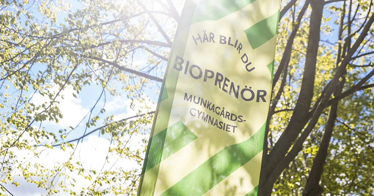En beachflagga framför vårgrönskande träd, flaggan har texten "Här blir du bioprenör, Munkagårdsgymnasiet".