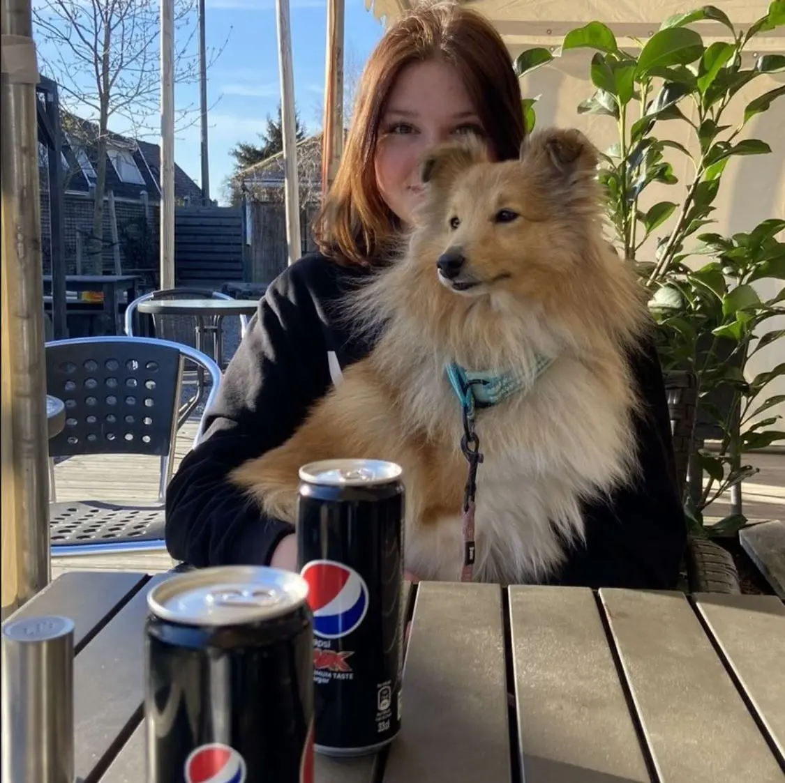 En ung person sitter i solen på en uteservering med en hund i sitt knä.