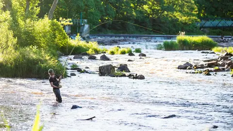 En man står i ett vattendrag och fiskar .