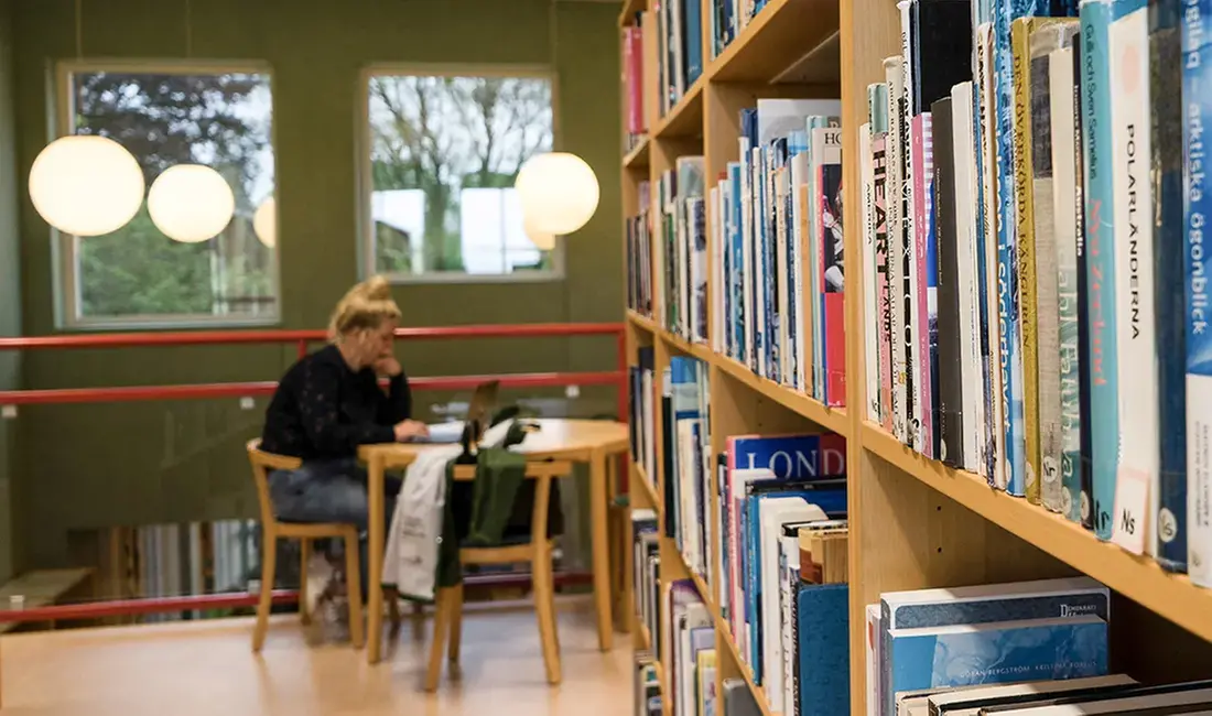 En person sitter i ett bibliotek och studerar.