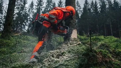 En person i orange skyddskläder och hjälm som jobbar i skogen.