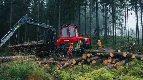 En skogsmaskin i ett skogsbruk.